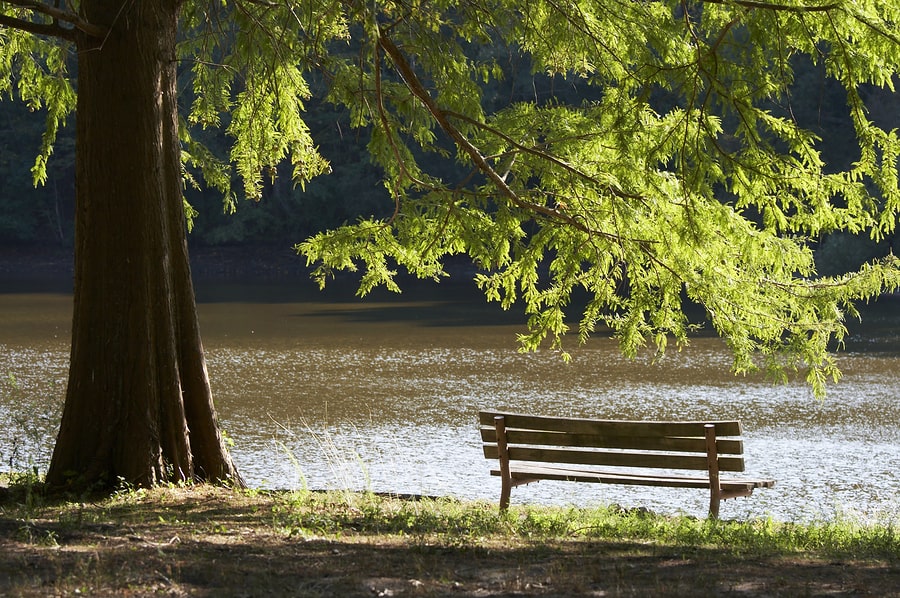 Nocatee Property Management Nocatee Property Management