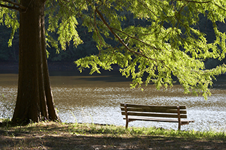 Nocatee Property Managers Nocatee Property Managers