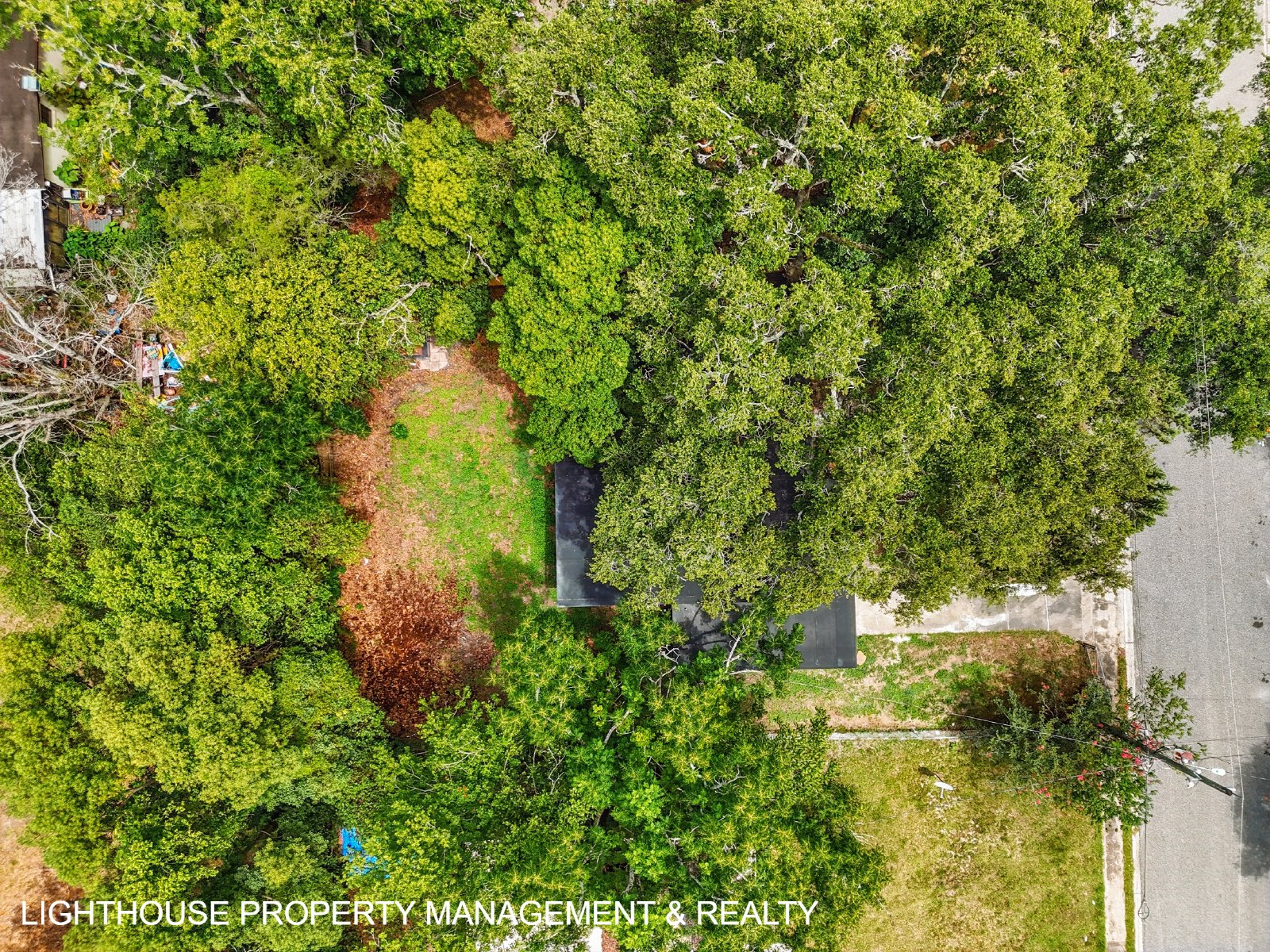 Renovated 3 Bed/2 Bath Home with Den & Office Space! property image