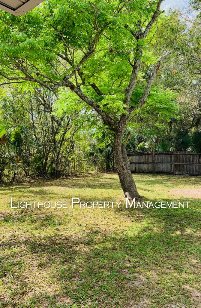 Beautifully Remodeled 3-Bedroom Home in Desirable Arlington! property image