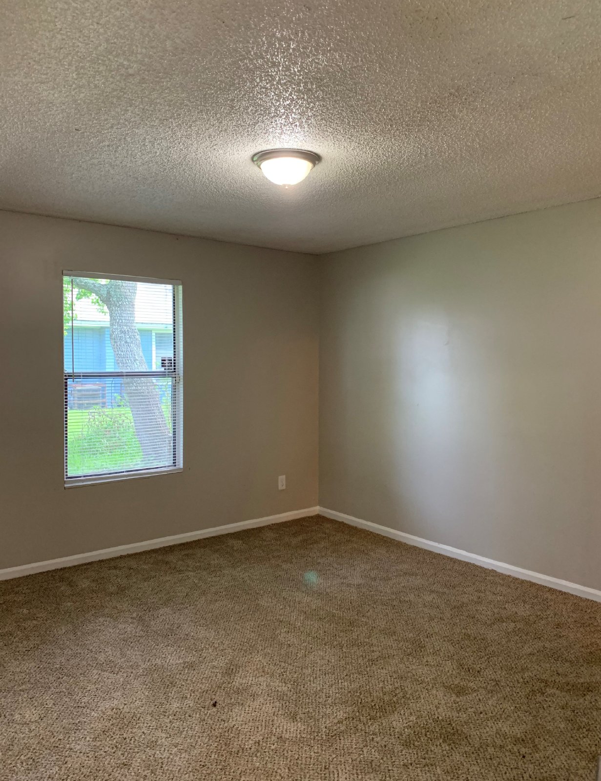 Spacious 2 Bed/2 Bath Apartment with Fenced Yard! property image