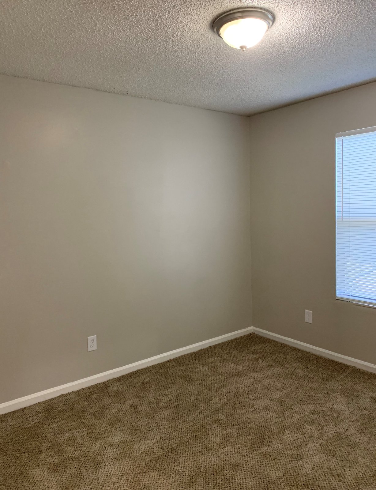 Spacious 2 Bed/2 Bath Apartment with Fenced Yard! property image