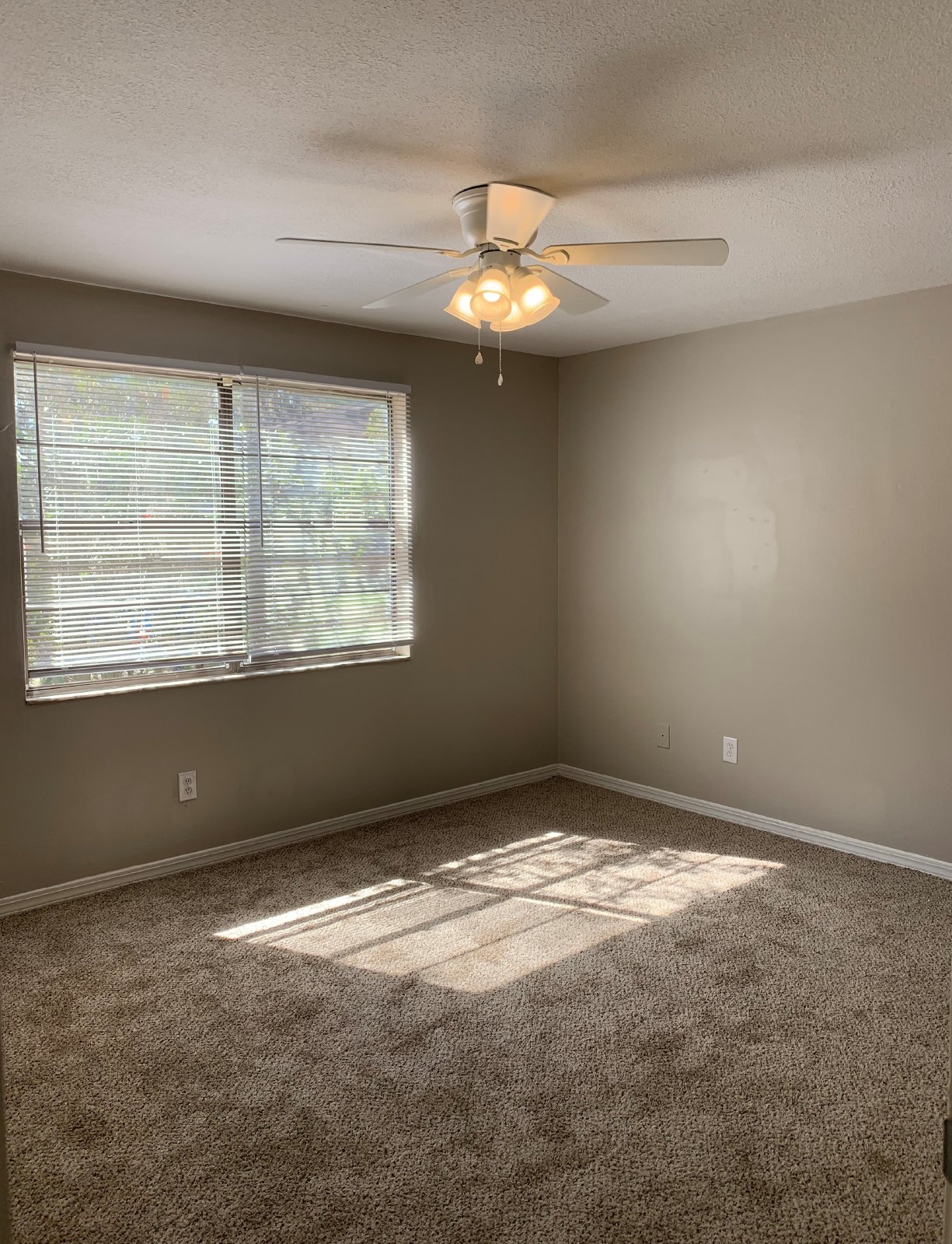 Fully Updated 2 Bedroom Apartment Close To Shopping And Dining property image