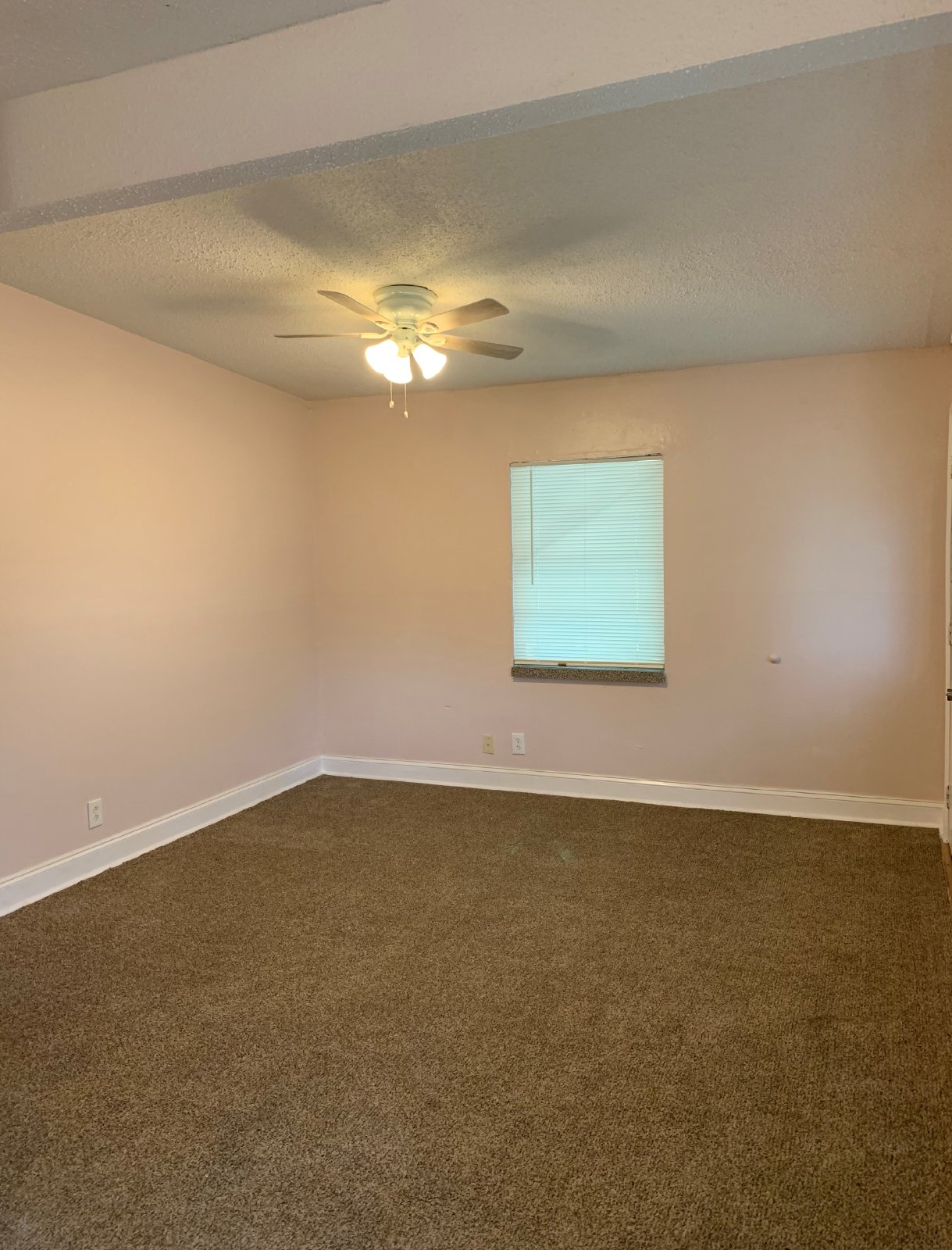 Spacious Backyard And Screened Porch In This Cozy 3 Bedroom Home property image