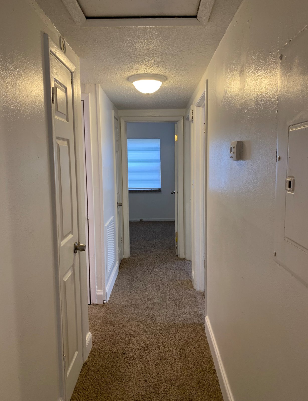 Spacious Backyard And Screened Porch In This Cozy 3 Bedroom Home property image