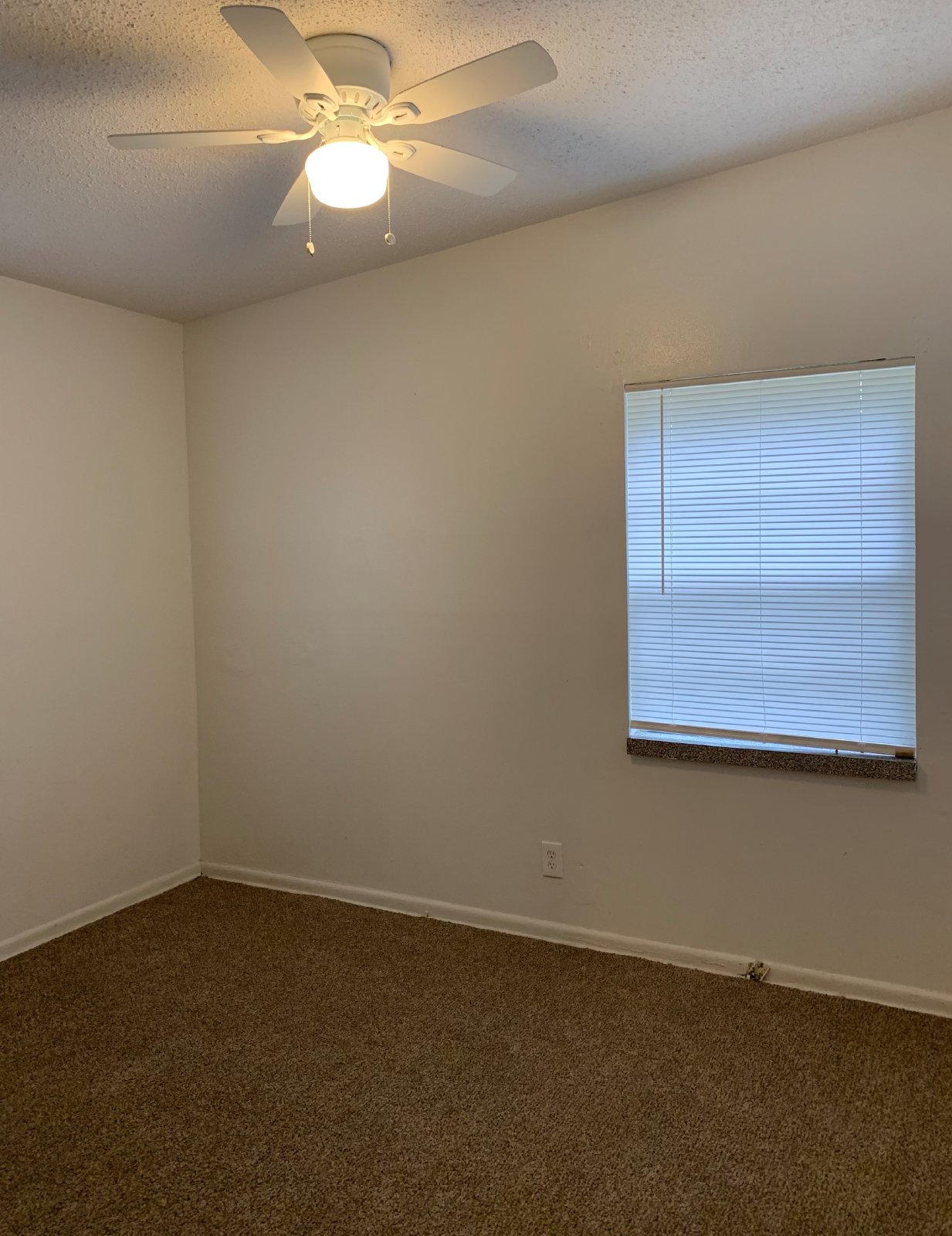 Spacious Backyard And Screened Porch In This Cozy 3 Bedroom Home property image