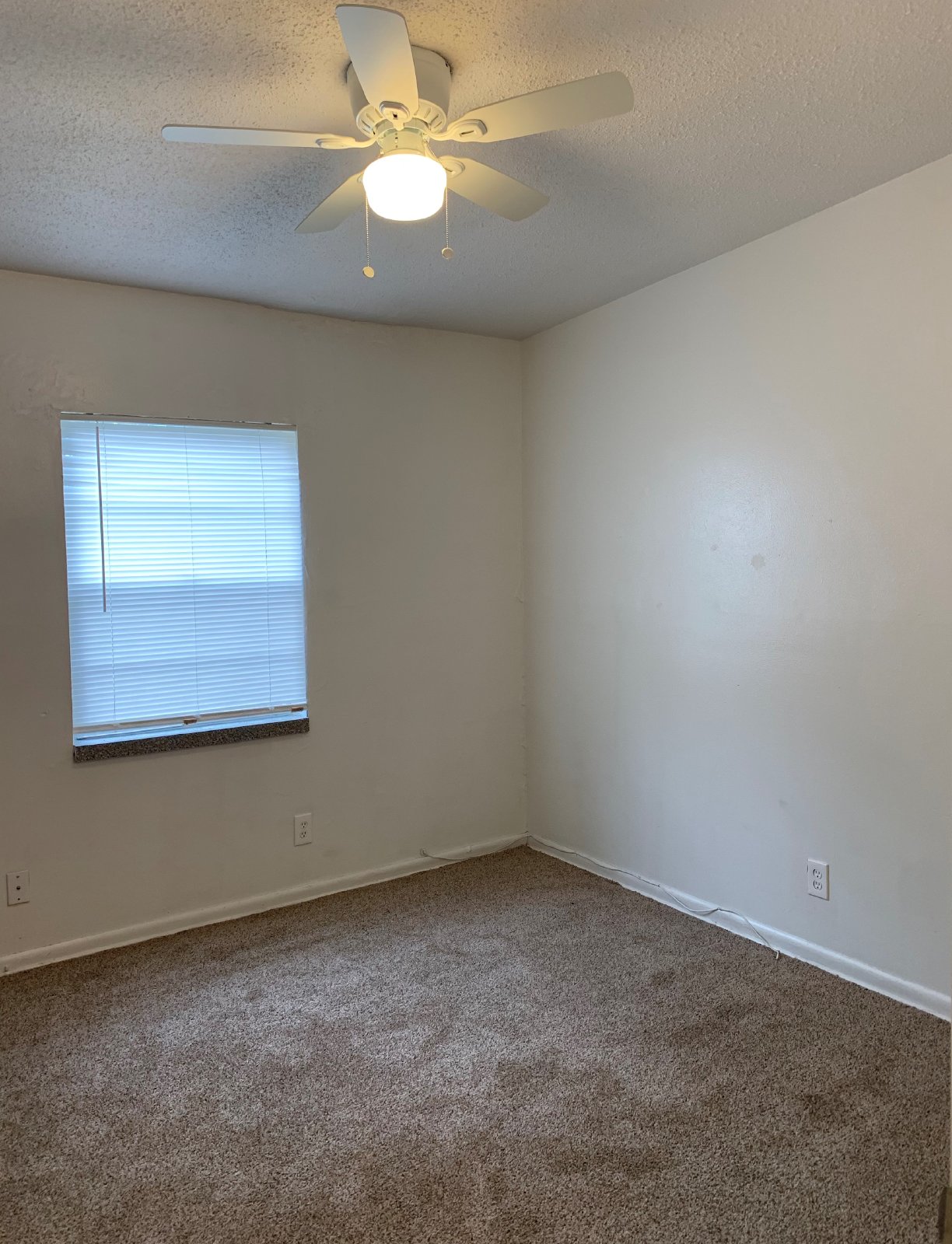 Spacious Backyard And Screened Porch In This Cozy 3 Bedroom Home property image