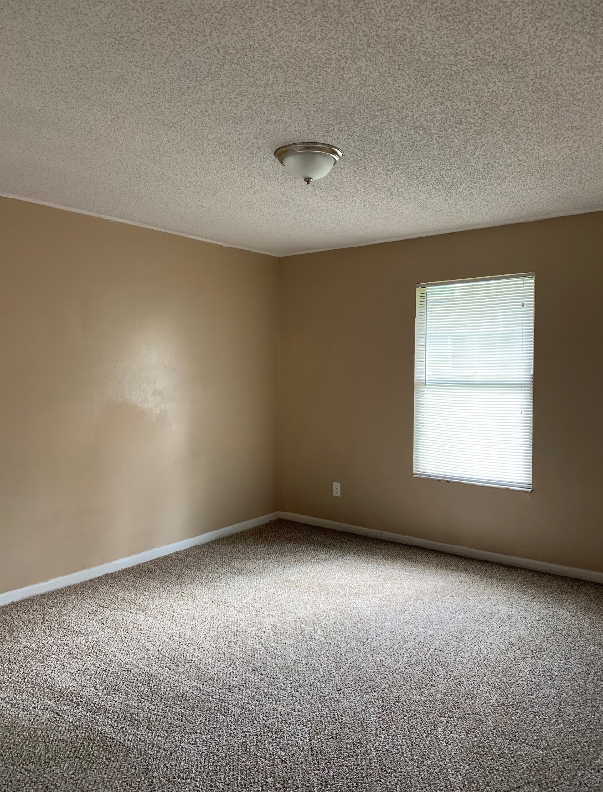 2 Bedroom Apartment With Private Fenced Backyard property image