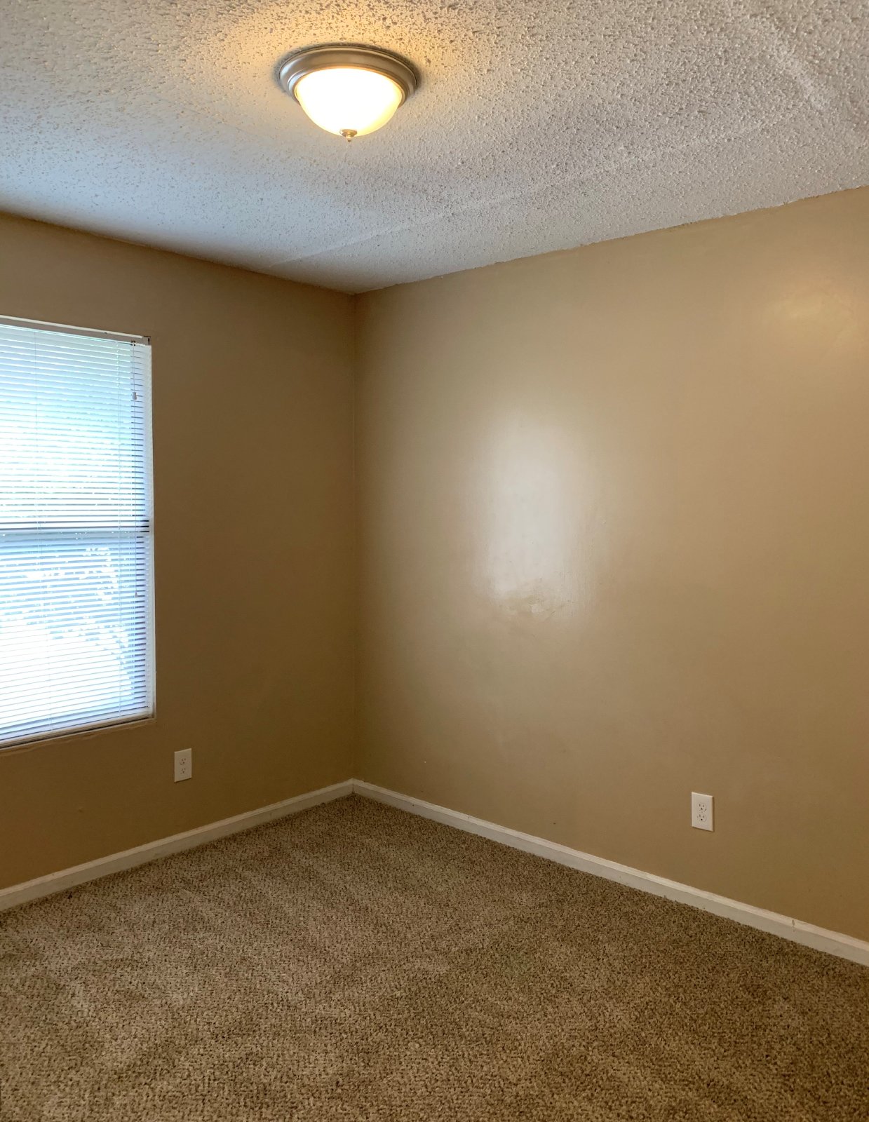2 Bedroom Apartment With Private Fenced Backyard property image