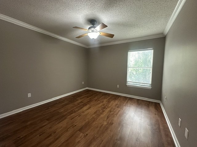Spacious 4 Bedroom Home With Upstairs Private Suite And 2 Car Garage property image