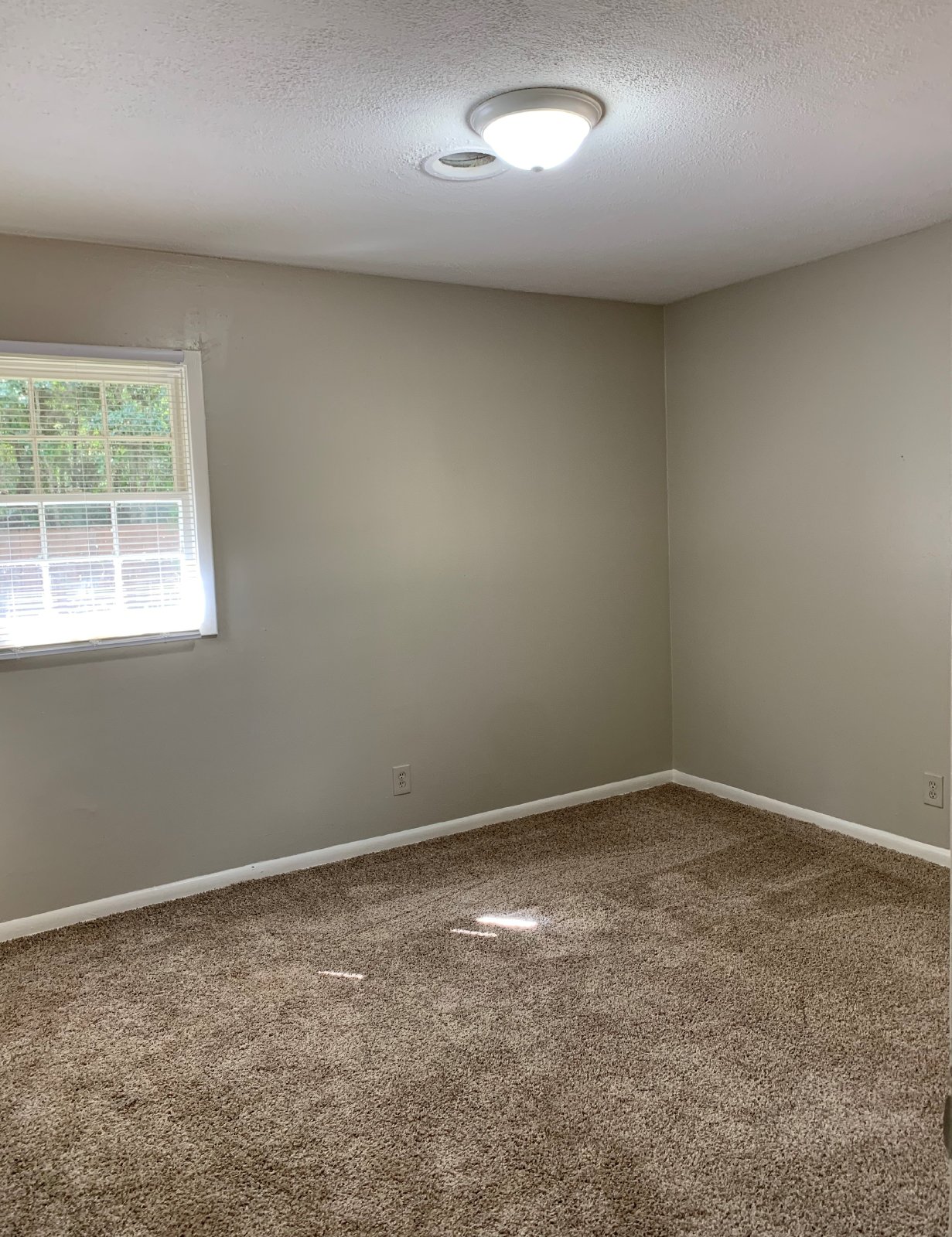 Charming Brick 3 Bedroom / 1.5 Bath Home in Hyde Park! property image