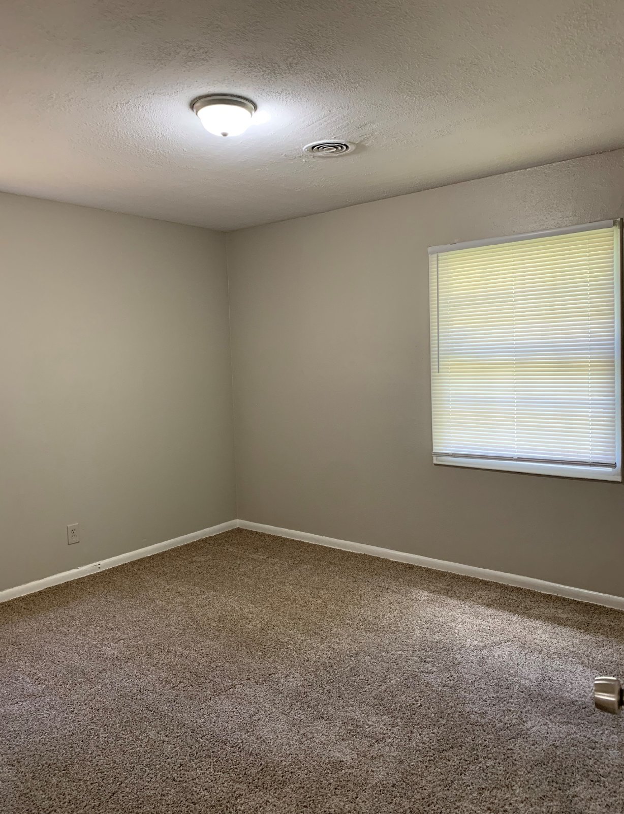 Charming Brick 3 Bedroom / 1.5 Bath Home in Hyde Park! property image