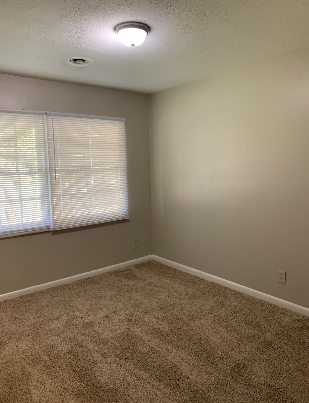 Charming Brick 3 Bedroom / 1.5 Bath Home in Hyde Park! property image