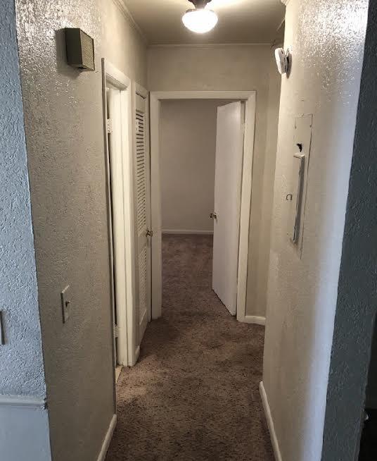 Coming Soon! 2BR Duplex with Screened Patio in the Murray Hill property image